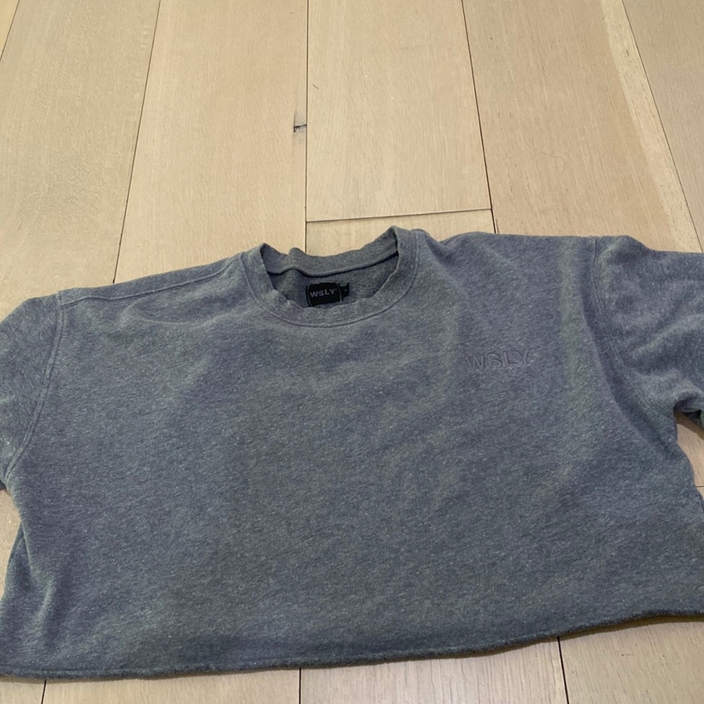WSLY gray cropped crewneck